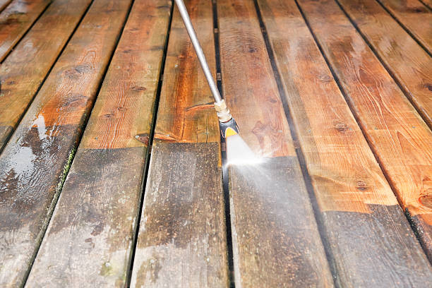 Animal Enclosure Cleaning in Dothan, AL